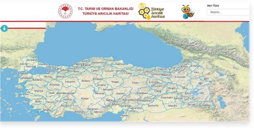 Türkiye’de 750 bal ormanı bulunuyor