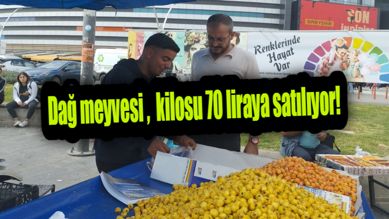 Dağ meyvesi kilosu 70 liraya satılıyor!