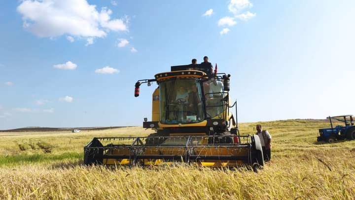 Diyarbakır’da çeltik pirinci hasadında 700 ton rekolte bekleniyor