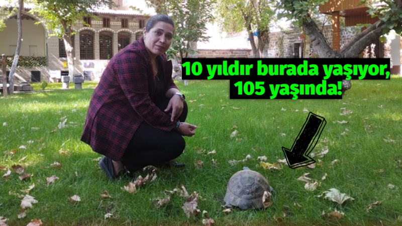 10 yıldır burada yaşıyor, 105 yaşında!