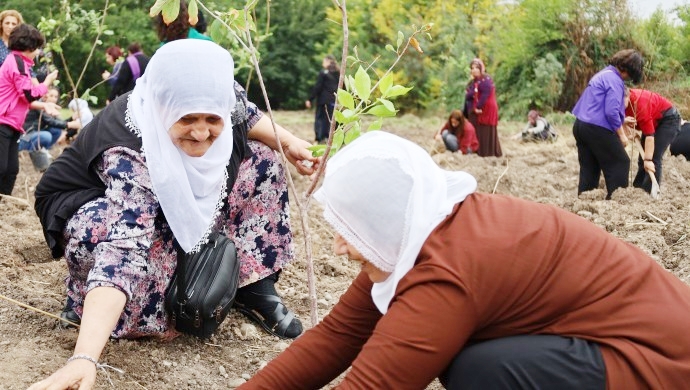 Kadınlar Hevsel’de savaşlara karşı 'barış' ağaçları dikti;  Sivillerin öldürülmesi insanlık suçudur!