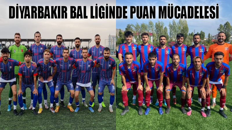 Diyarbakır BAL liginde puan mücadelesi