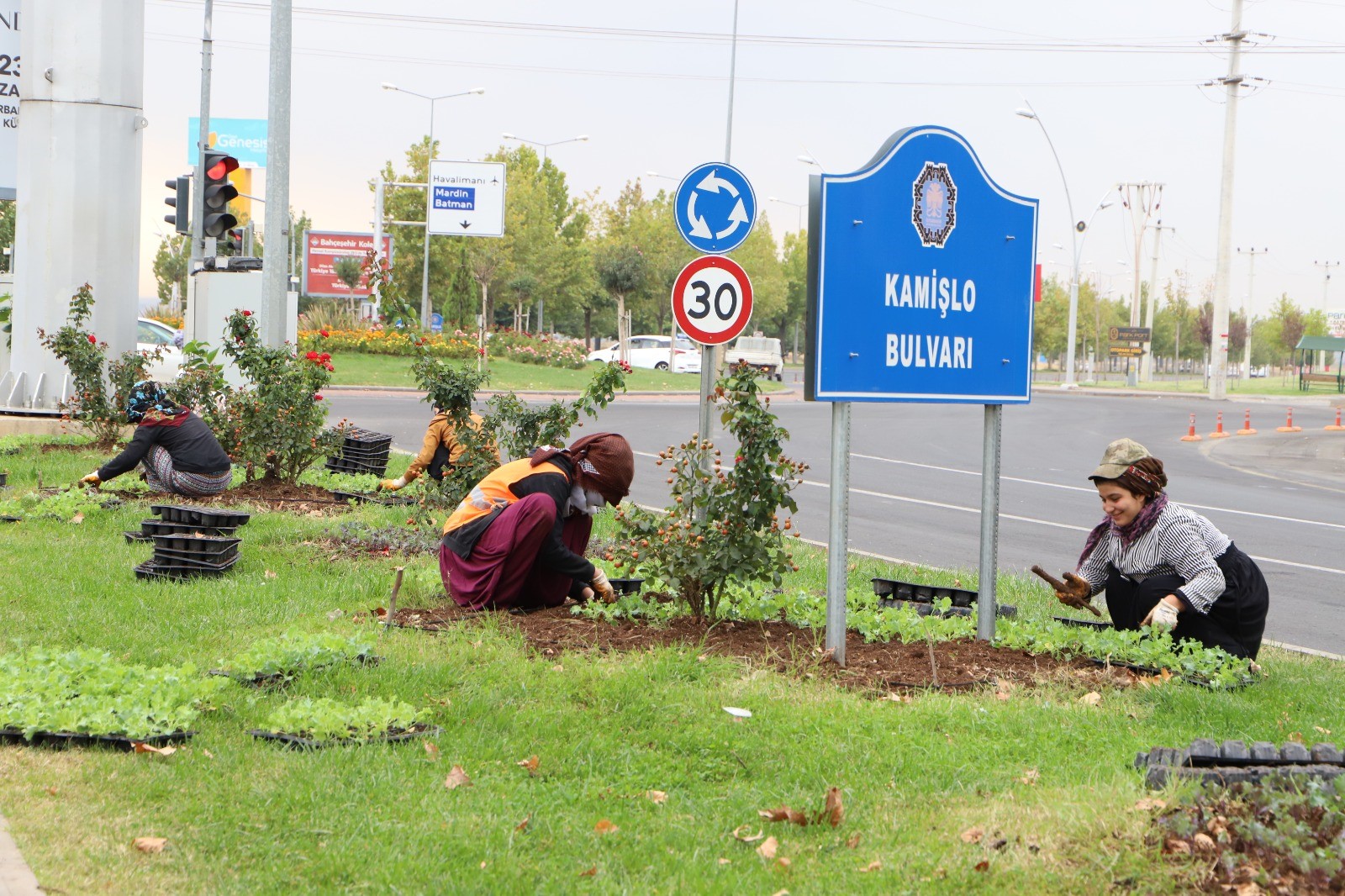 Diyarbakır’da 1 milyon 200 bin kışlık çiçek toprakla buluşturulacak