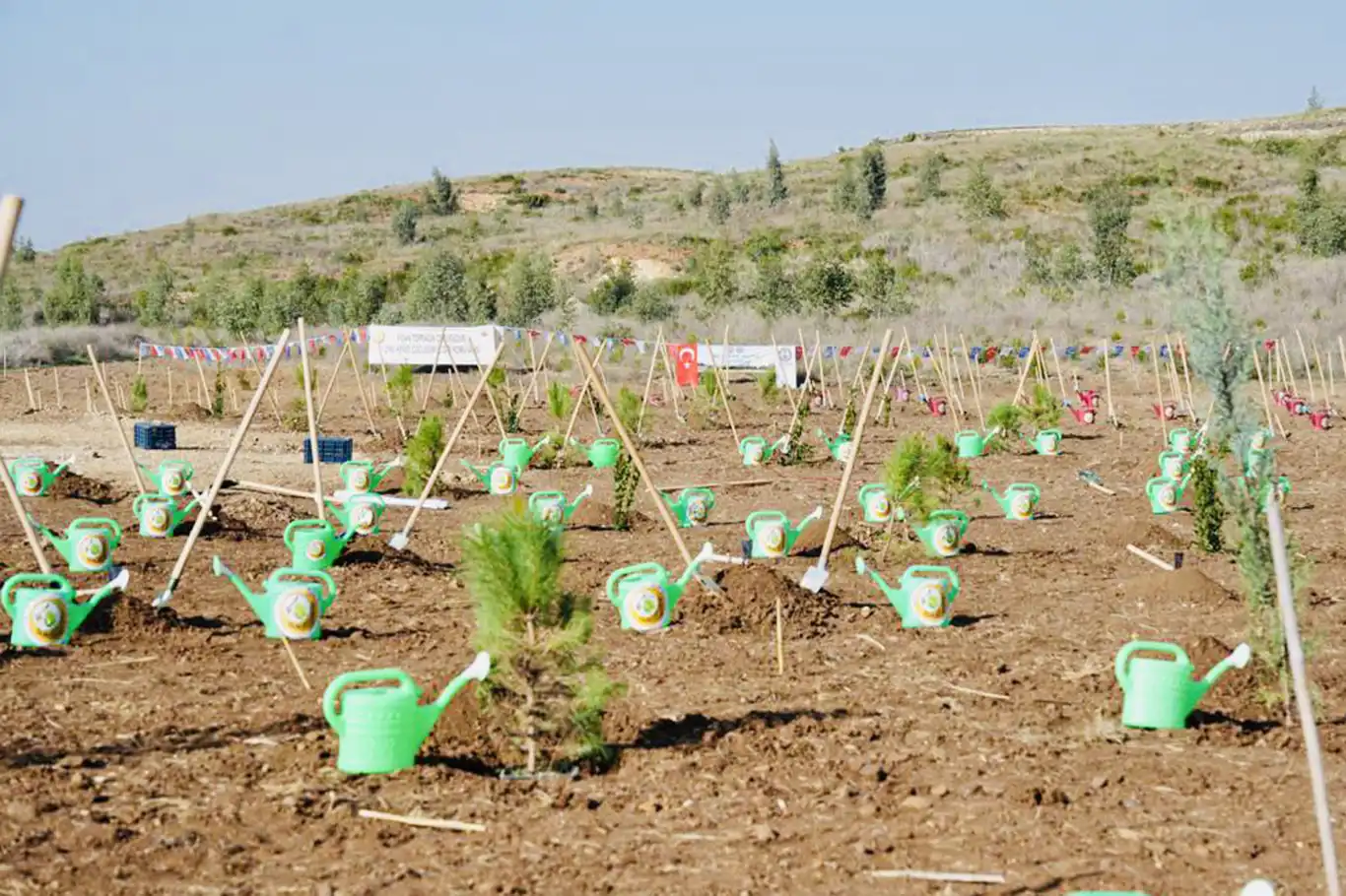 Milli Ağaçlandırma Günü etkinlikleri sürüyor