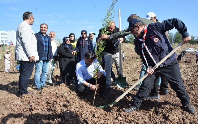 Diyarbakır'da Cumhuriyetin 100. yılında hatıra ormanı oluşturuldu