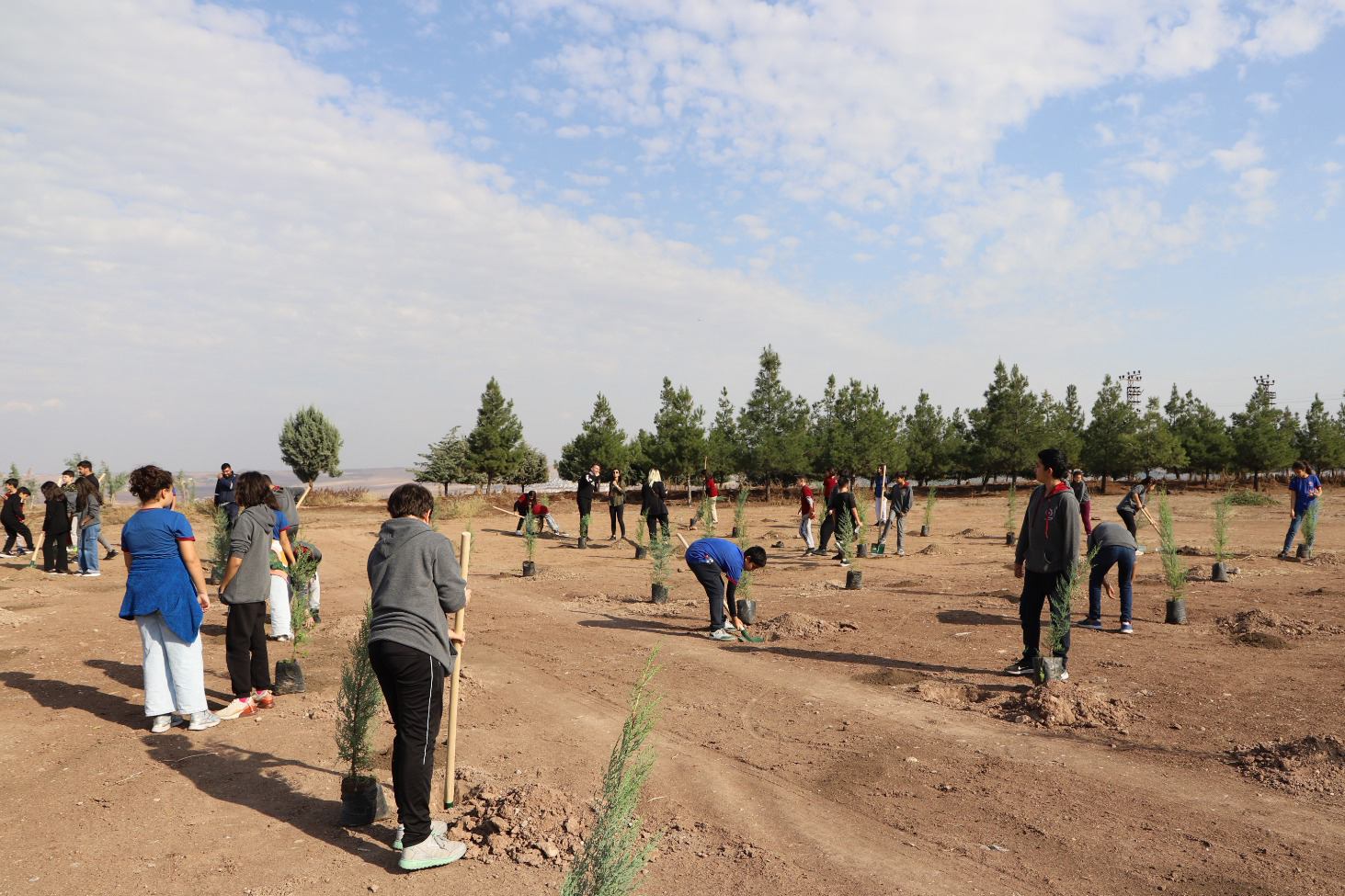 Diyarbakır'da öğrenciler fidan dikti