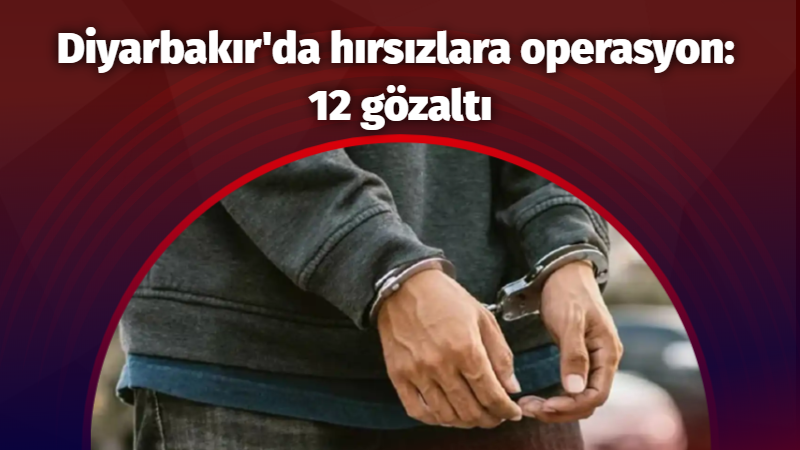 Diyarbakır'da hırsızlara operasyon: 12 gözaltı