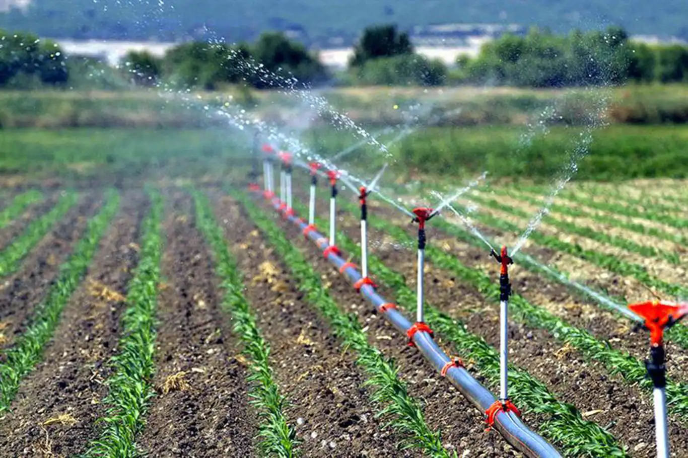 Çiftçi Kayıt Sistemi Yönetmeliği'nde değişiklik