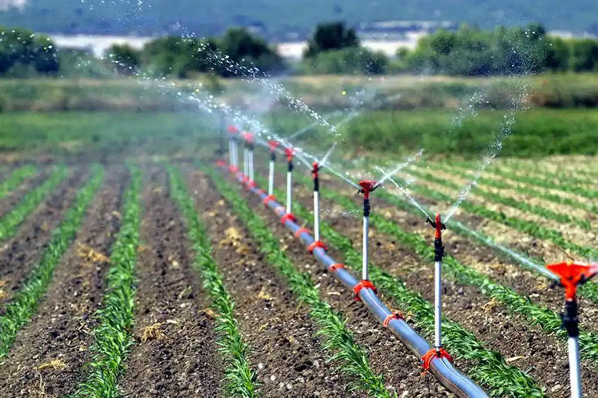 Diyarbakırlı çiftçiler dikkat! Bugün son gün