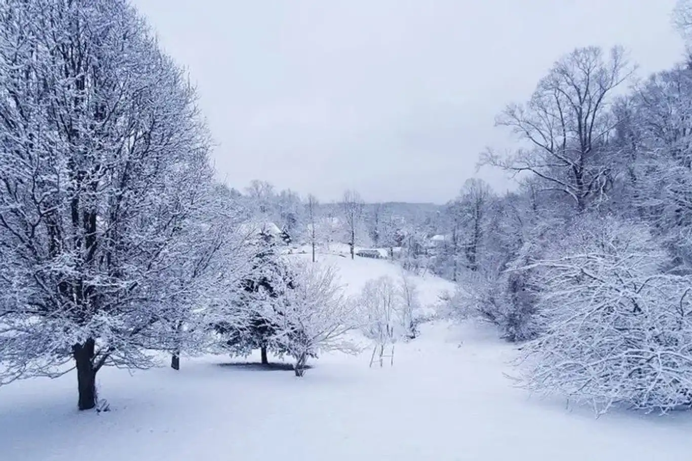 Soğuk hava dalgası etkili olacak!