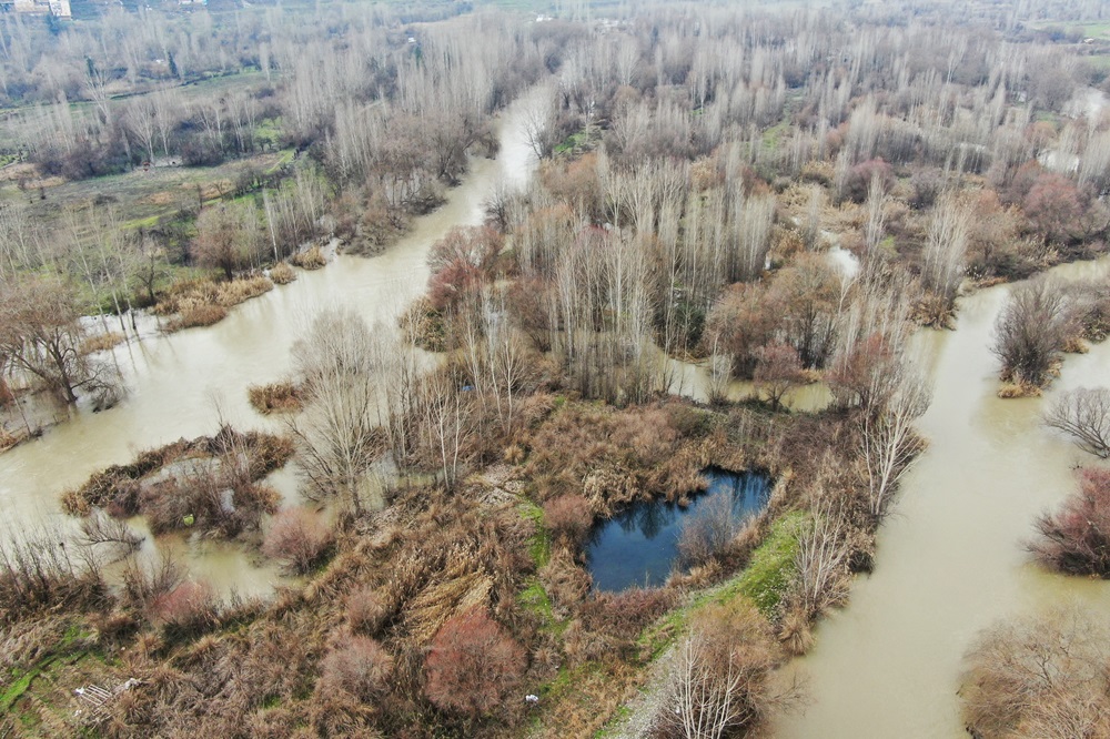 Dicle Nehri’nde hayat tehdit altında!