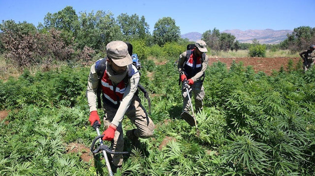 Diyarbakır’da ‘Narkogüç-43’ Operasyonu: 305 Zehir Taciri Ve Sokak Satıcısı Yakalandı