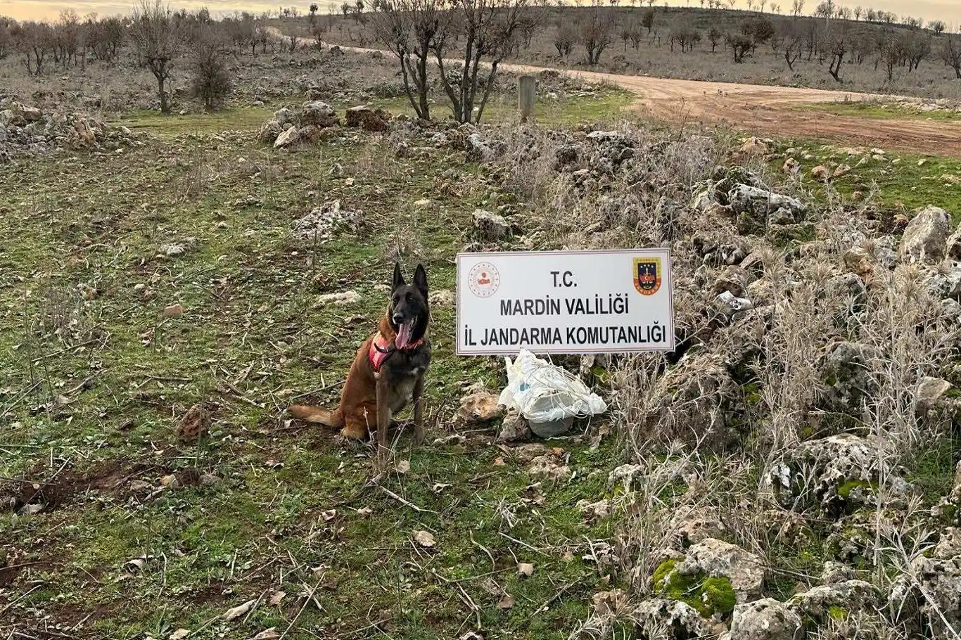 Diyarbakır'a komşu ilde 25 kilo EYP ele geçirildi