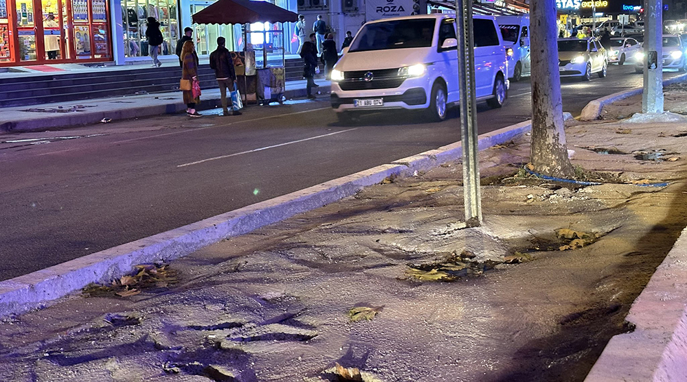 Diyarbakır’da ağaçlara beton döktüler!