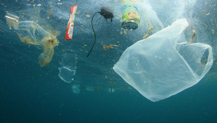 Plastik Poşetler: Doğaya Bir Kabus