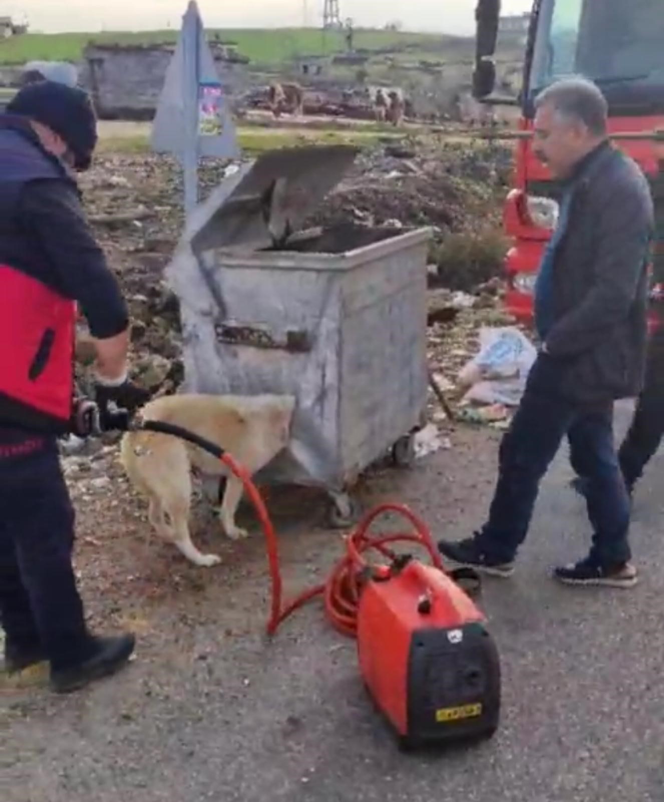 Diyarbakır’da Kafası Çöp Konteynerine Sıkışan Köpek Kurtarıldı