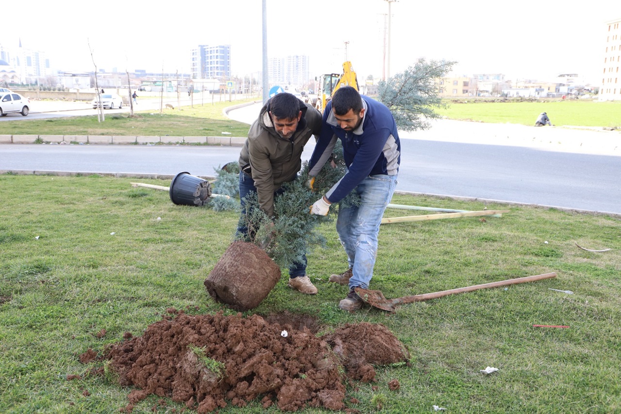 Diyarbakır ağaçlandırılıyor!