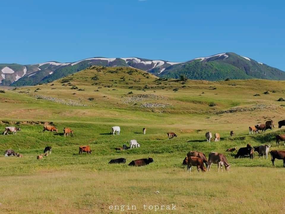 Diyarbakır'ın Zirvesi: Andok Dağı