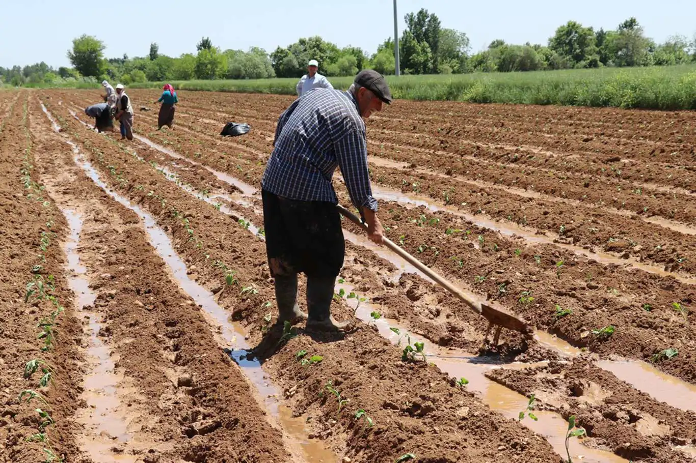 Diyarbakırlı Çiftçiler, Beklediğiniz Destekleme Hesaplara Yatacak!