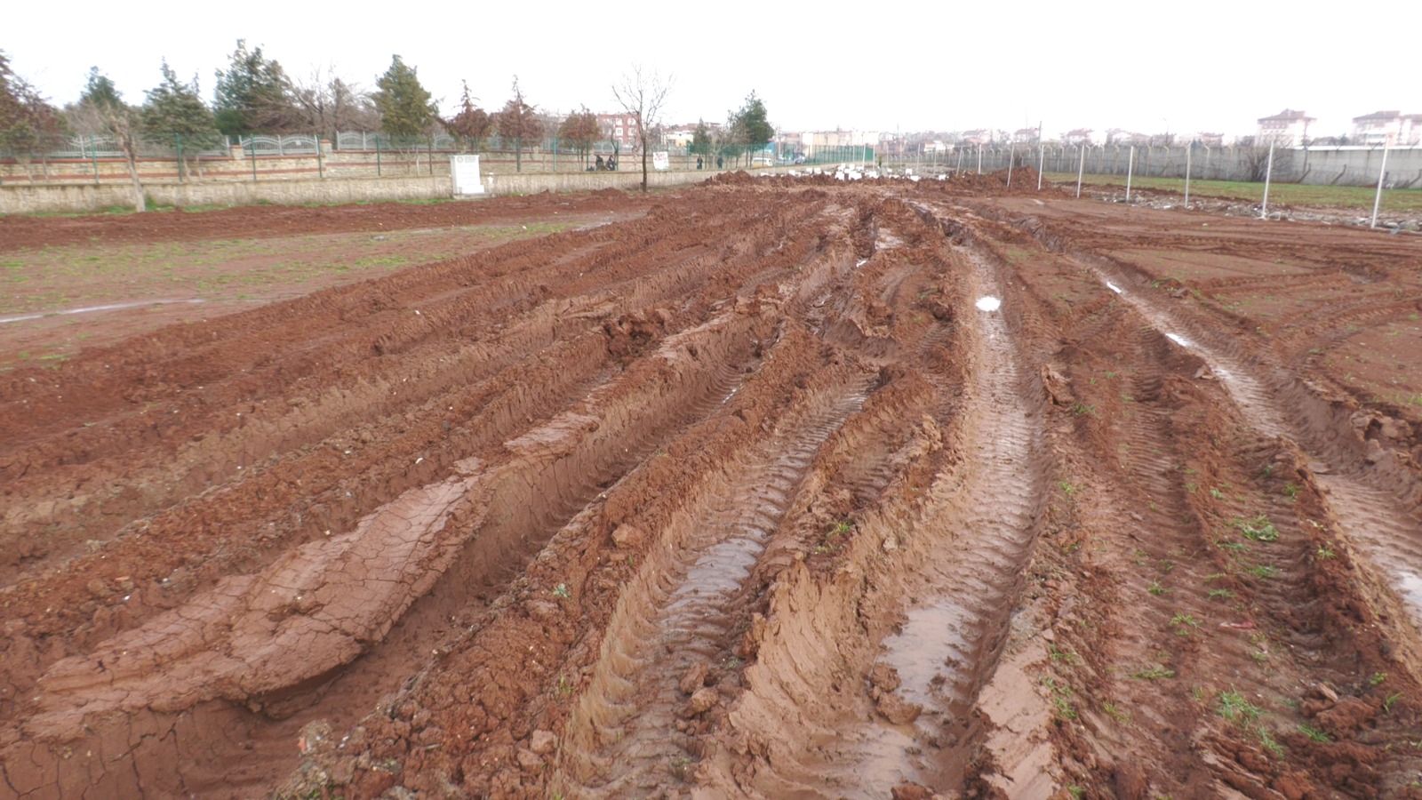 Diyarbakır’da bu mezarlık bataklığa döndü!