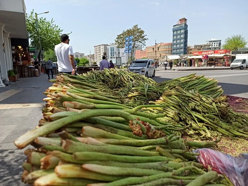 Ribes Diyarbakır’da tezgahlarda yerini aldı