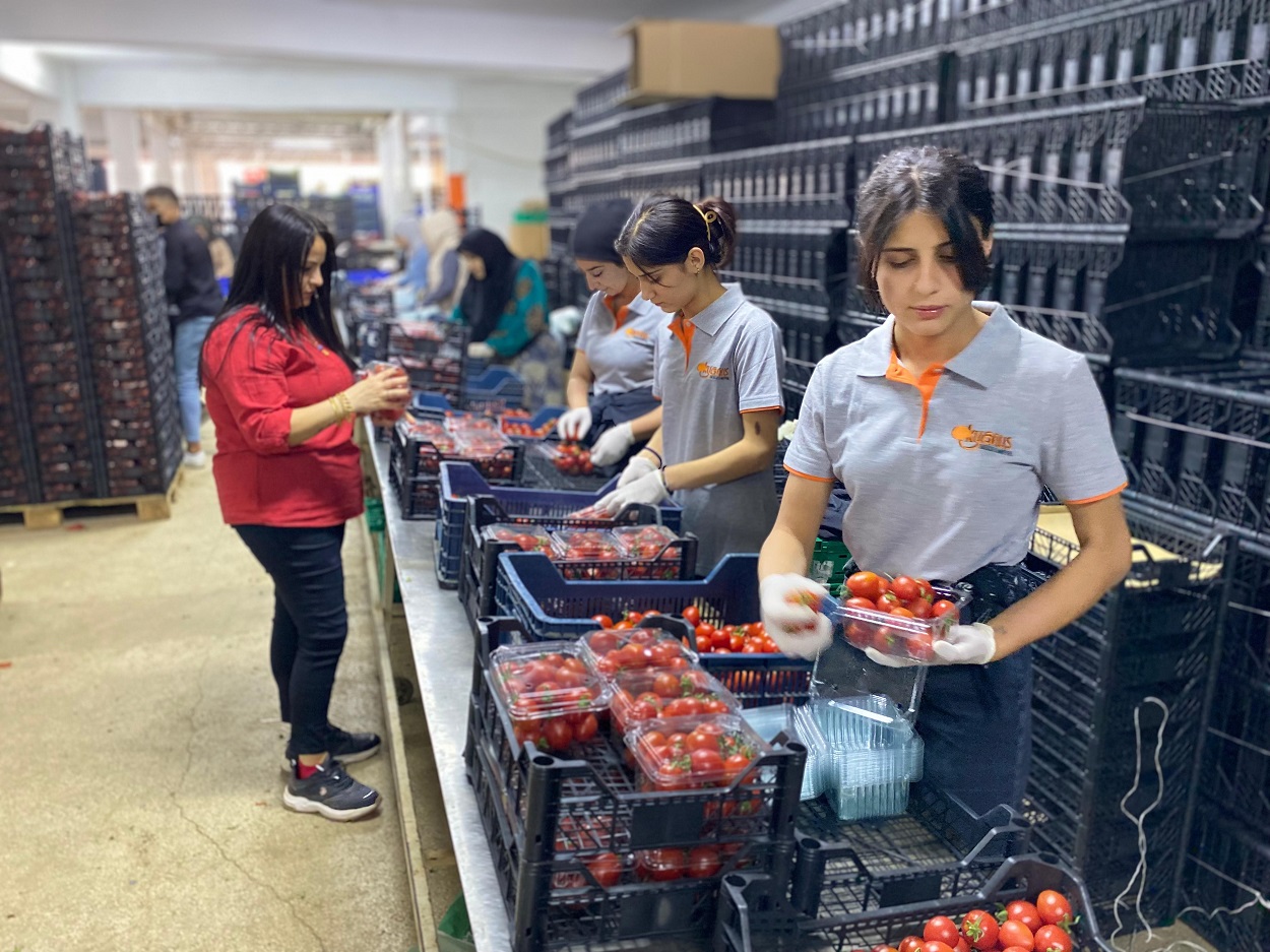 Kadınların Diyarbakır ve bölgeden Antalya’ya uzanan ekmek parası yolculuğu...