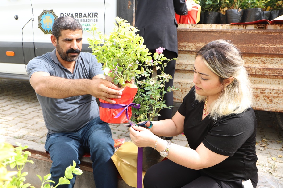 Diyarbakır’da çiftçilere ücretsiz bitki dağıtımı