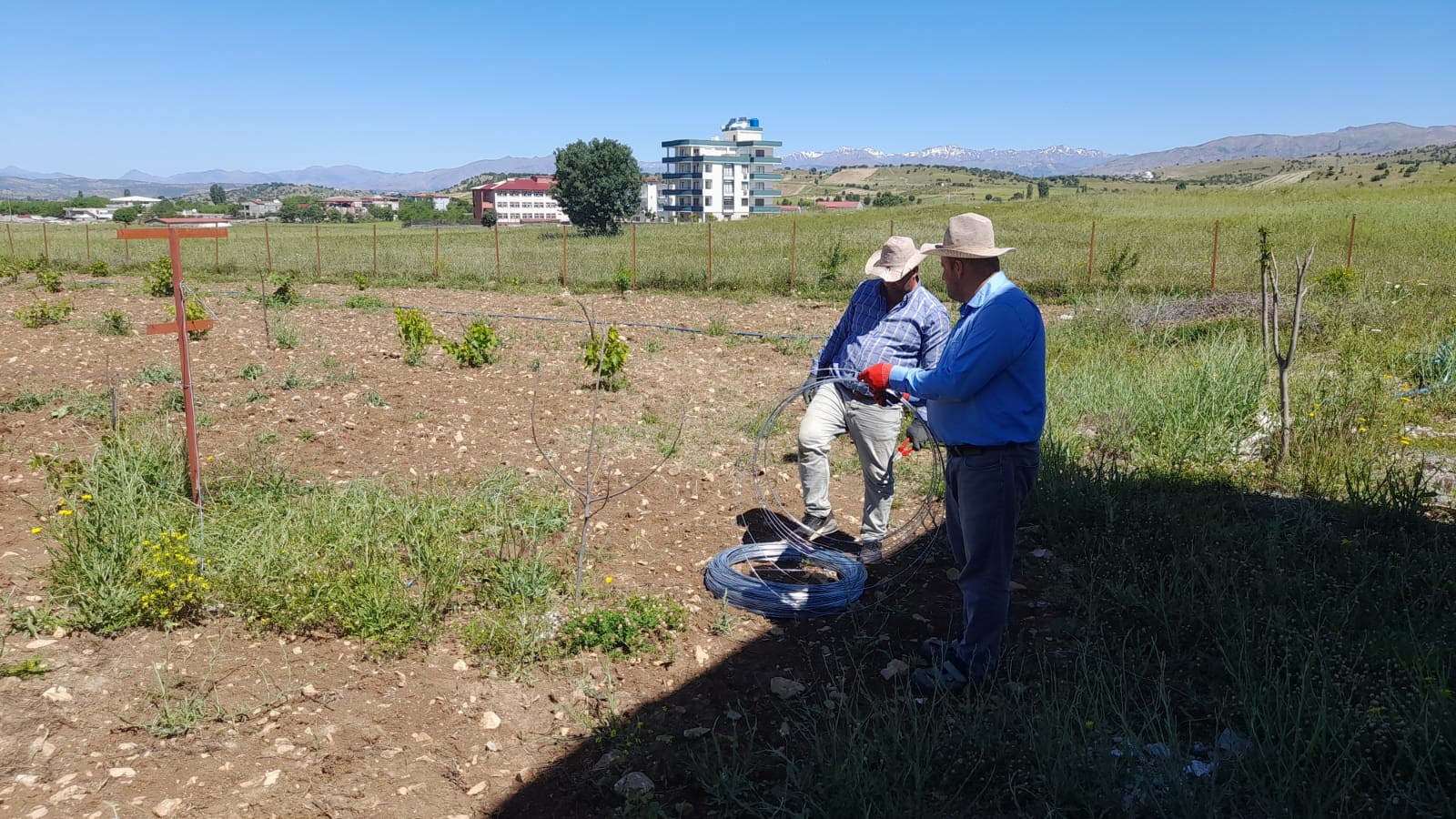 Diyarbakır'ın o ilçesinde örtü altı üzüm yetiştirilecek