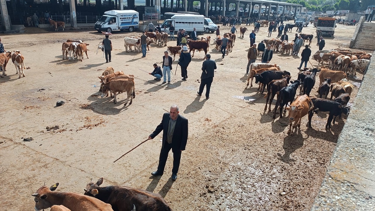 Diyarbakır’da ‘kurban’ pazarında işler kesat