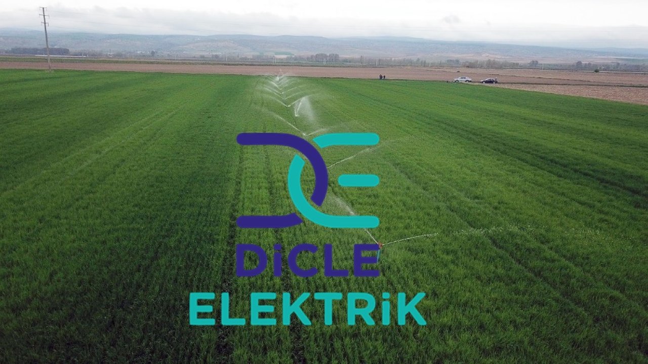 Dicle Elektrik çiftçileri yine uyardı: Büyük risk altında