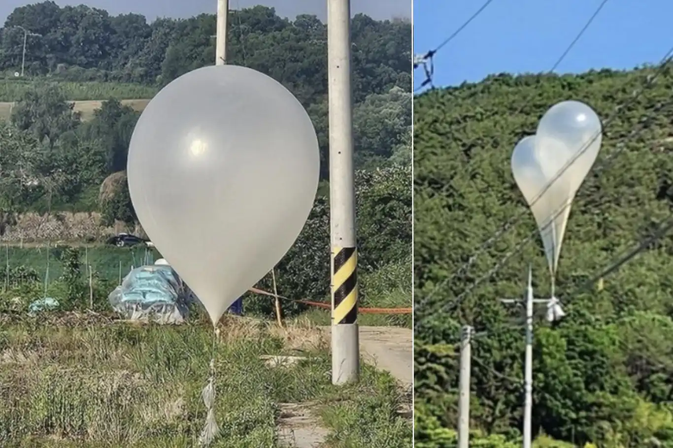 Kuzey ve Güney Kore arasında "balon" gerilimi