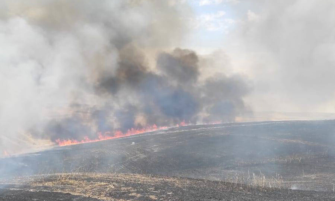 Diyarbakır'da arazi yangınları bitmiyor: 400 dönümlük ekili arazi küle döndü