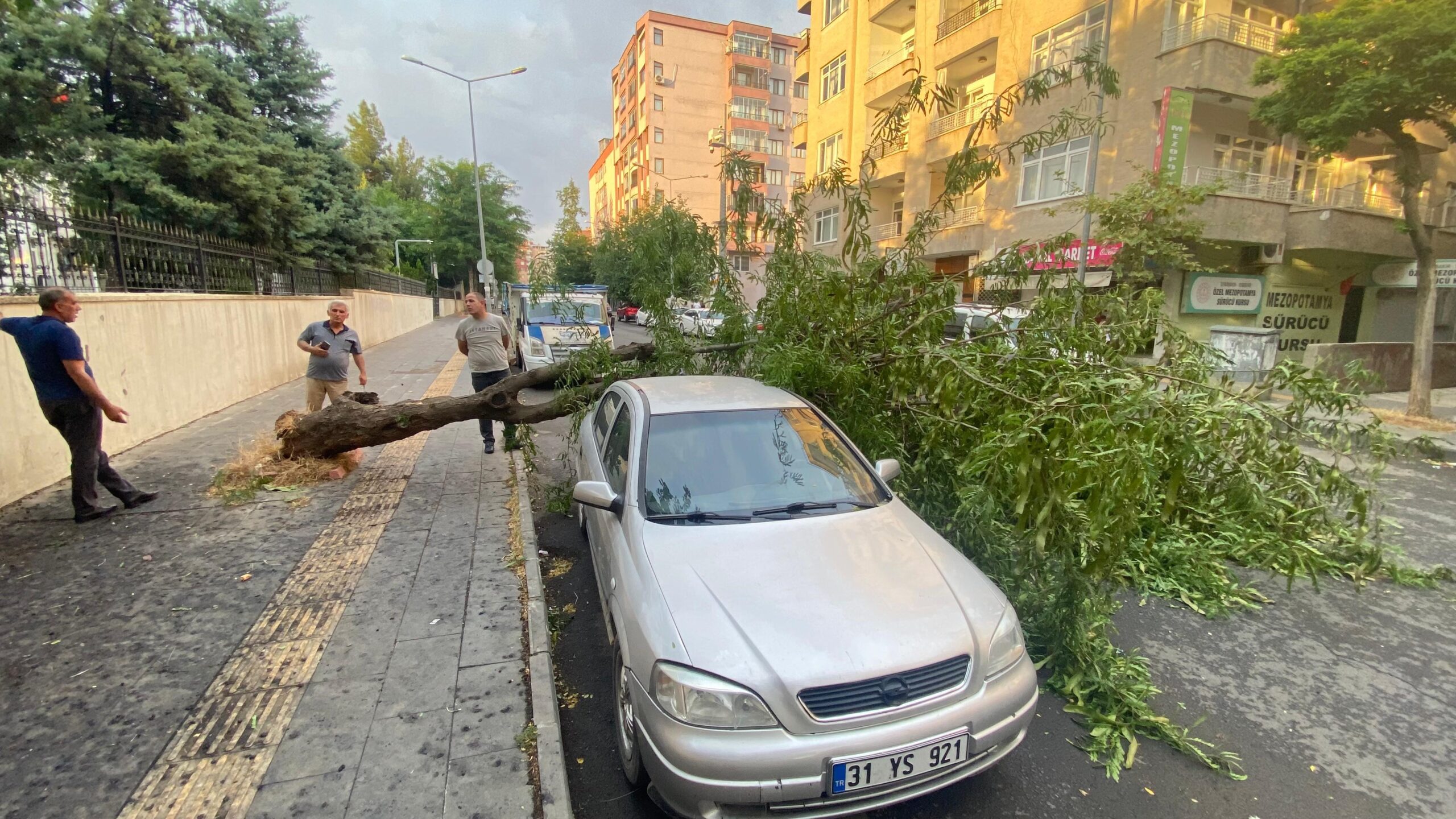 Diyarbakır’da rüzgar ağaçları devirdi