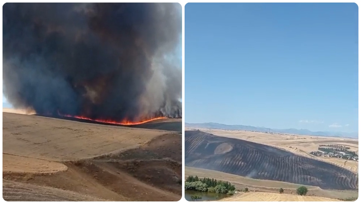  Diyarbakır’da bin dönümlük arazi küle döndü