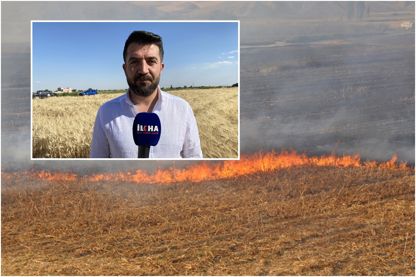 Araç Penceresinden Atılan Sigara İzmaritleri Tehlike Saçıyor; Çiftçinin emeği yanıyor!