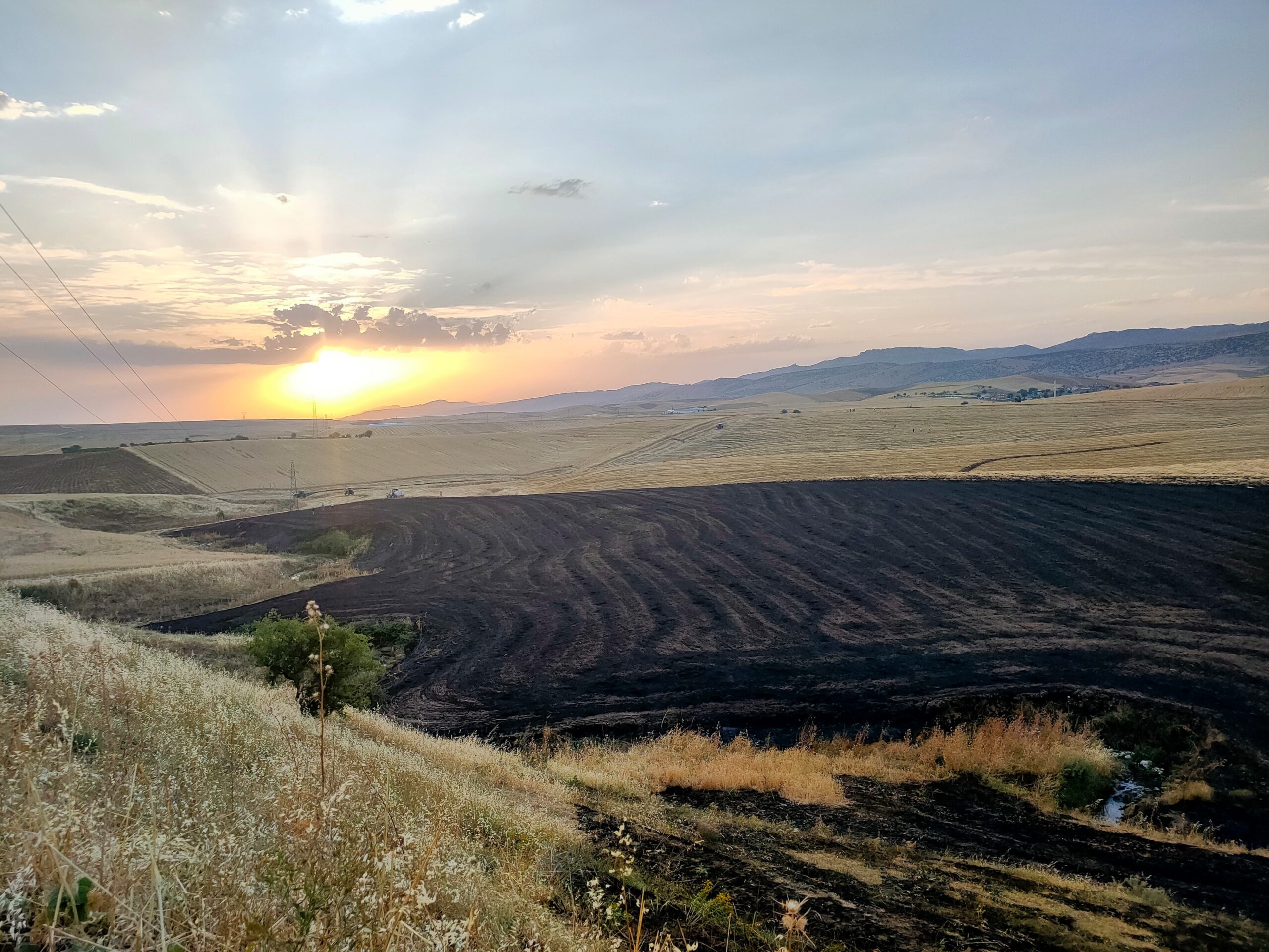 Diyarbakır'da ekin tarlasında yangın