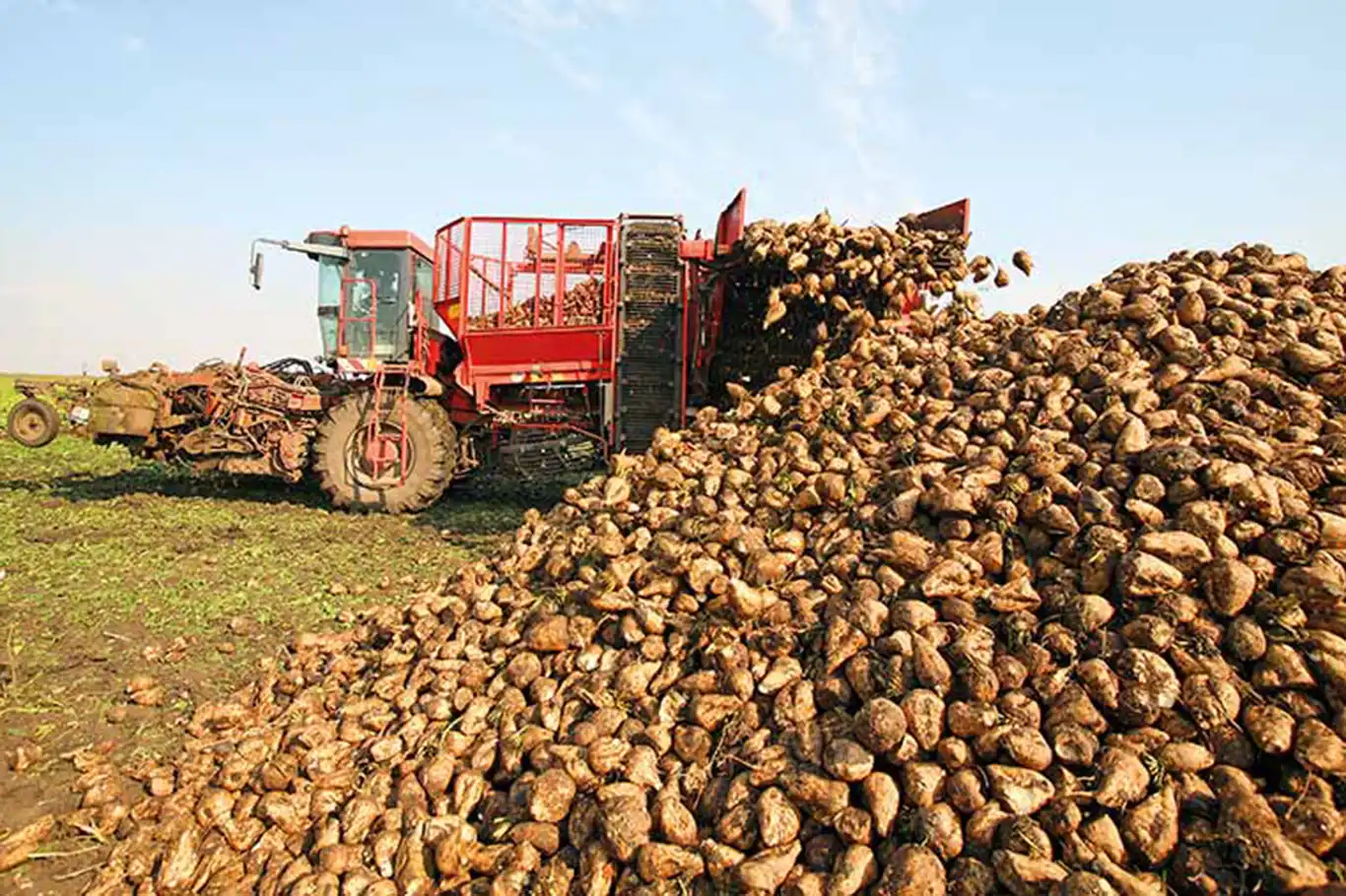 Pancar çiftçisine çapa avans ödemesi yapıldı