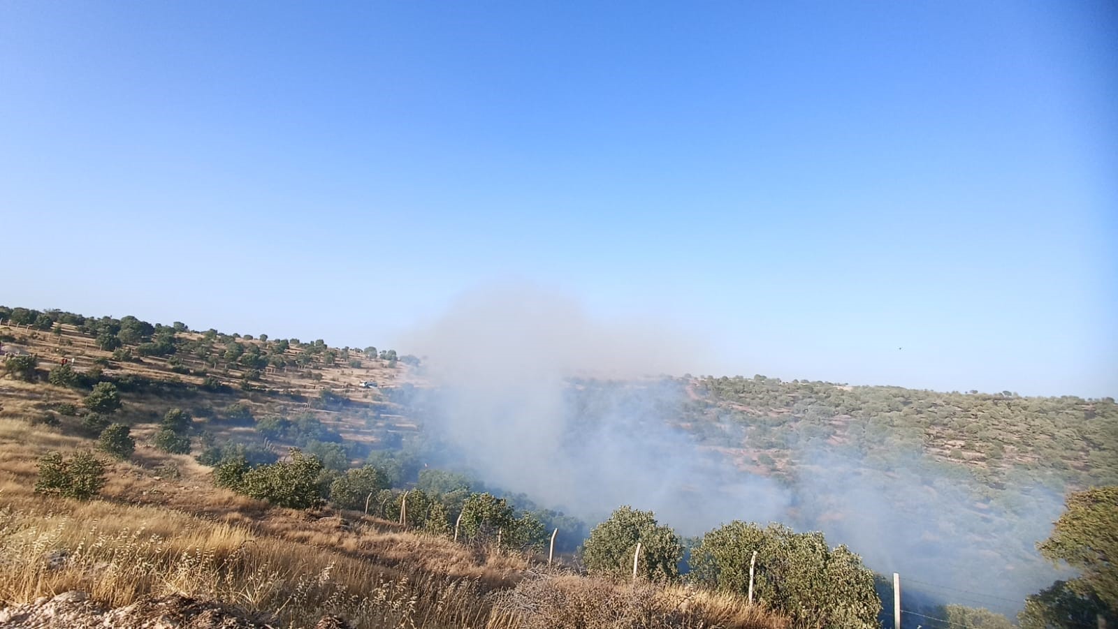 Mardin’de 5 ayrı noktada çıkan yangın söndürüldü