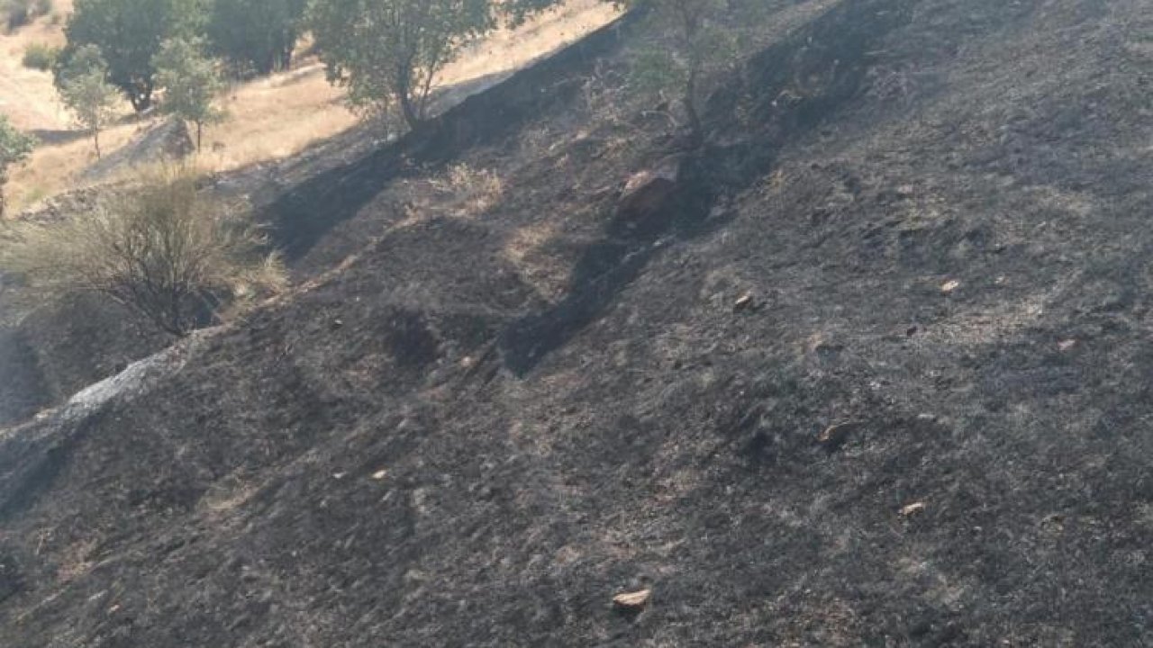 Siirt’te yangın: Kontrol altına alındı