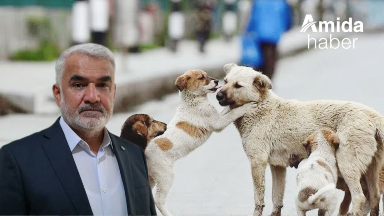 HÜDA PAR lideri: 100 köpek, 1 milyon tavuk ölsün