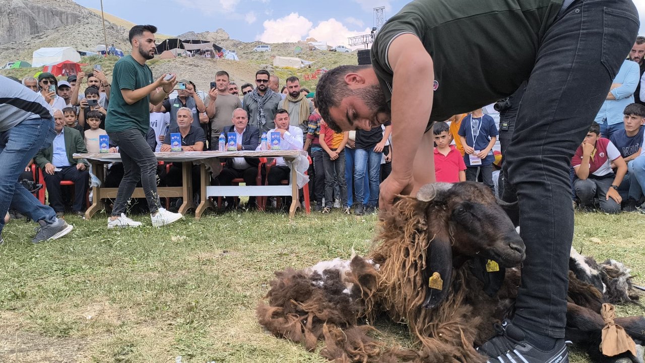 Şırnak'ta Festival: 3 dalda yarışma