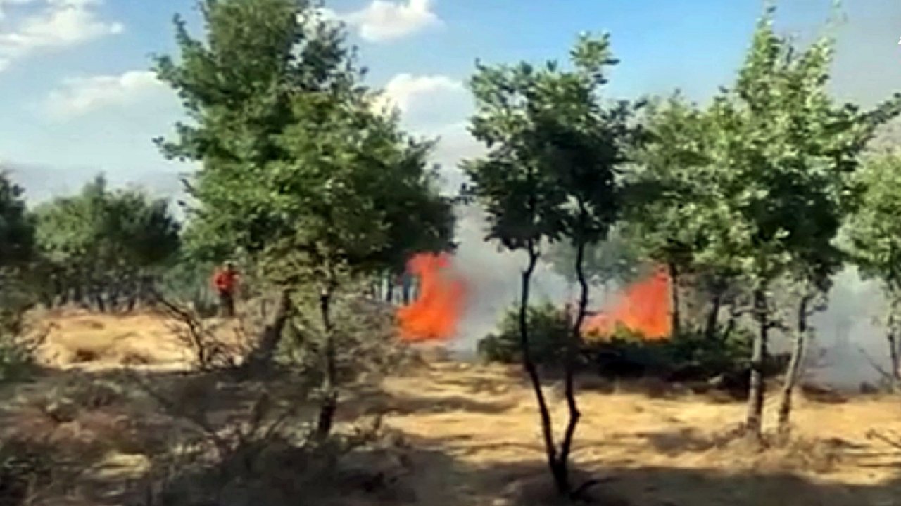 Bingöl’de ormanlık alanda çıkan yangın söndürüldü