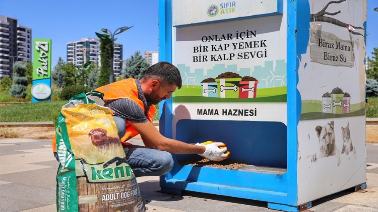 Diyarbakır'da sokak hayvanları unutulmadı!