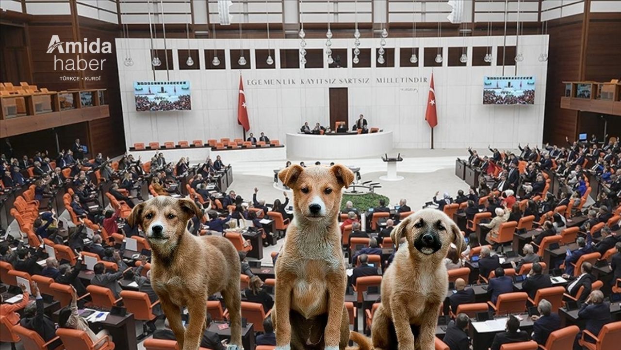 Sokak hayvanlarına yönelik kanun teklifi 1 Ağustos’a kadar görüşülecek