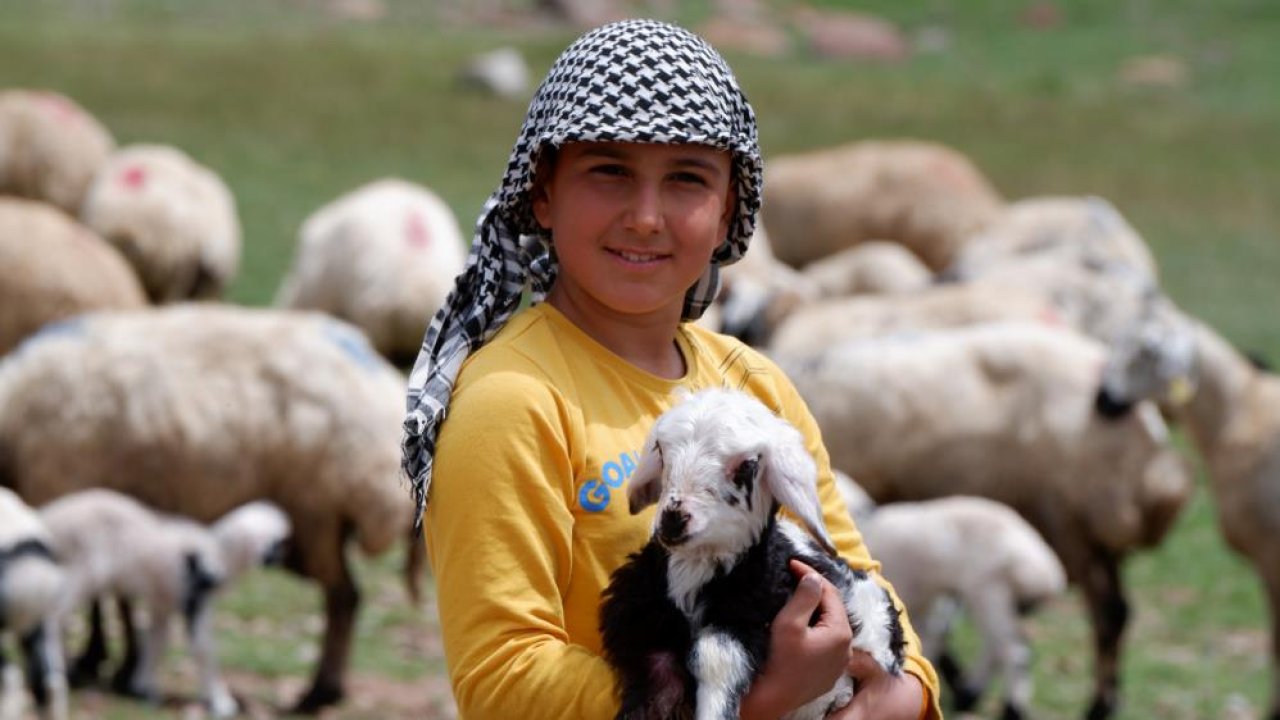 3 bin rakımda 300 çadır kuruldu: Diyarbakır’dan da gittiler