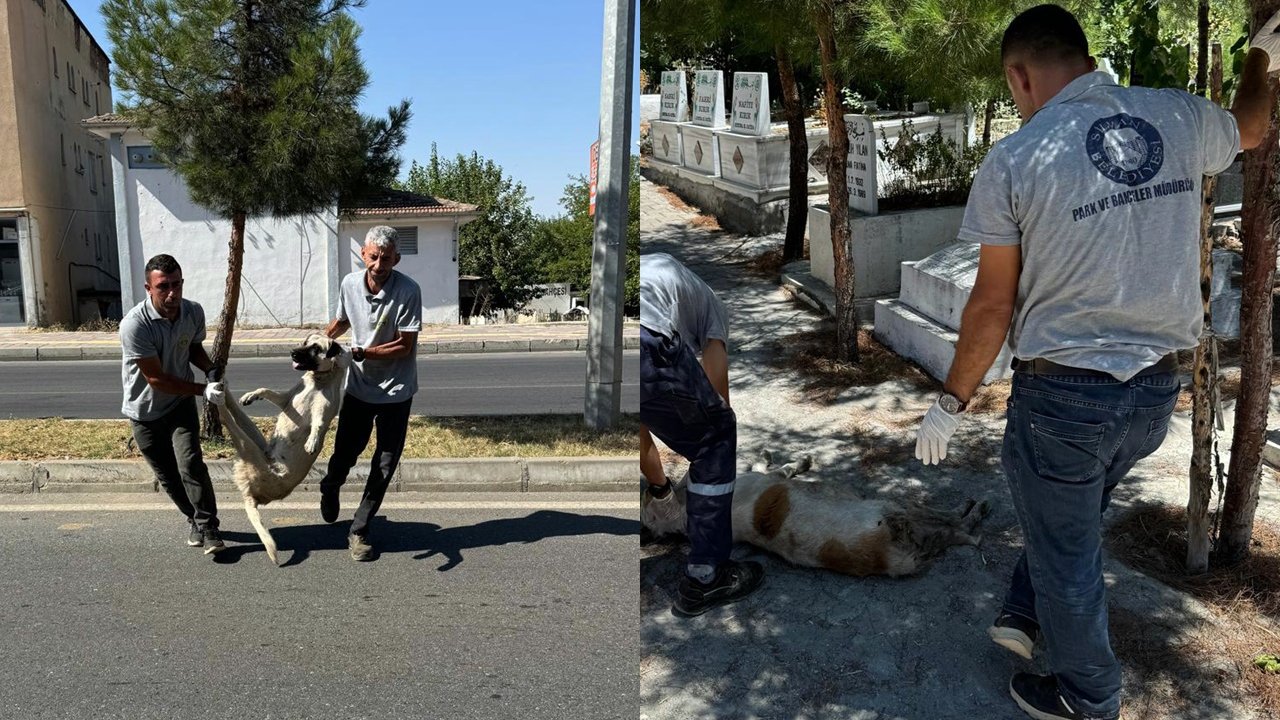 Diyarbakır’ın o ilçe belediyesi icraata başladı