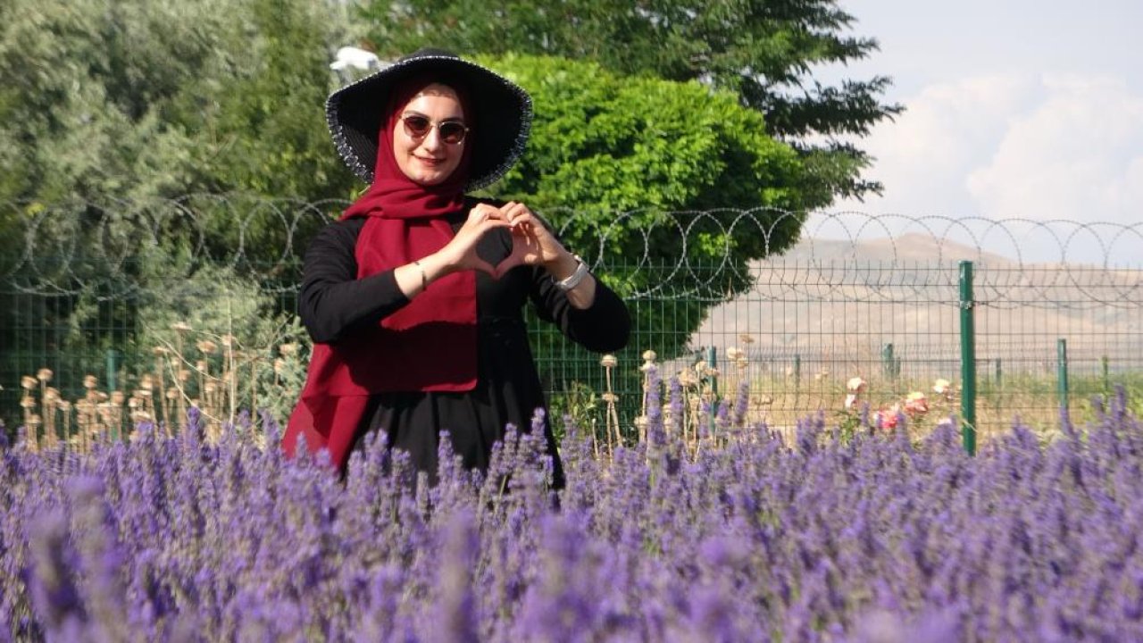 FOTO HABER - Van’da renkli bitki hasadına başlandı