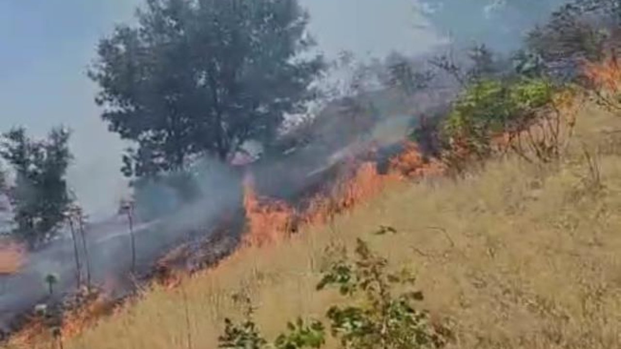 Diyarbakır’da çıkan örtü yangını korkuttu