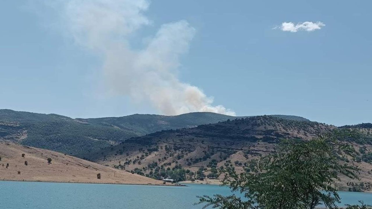 Dersim’de orman yangını: Güçlükle müdahale ediliyor