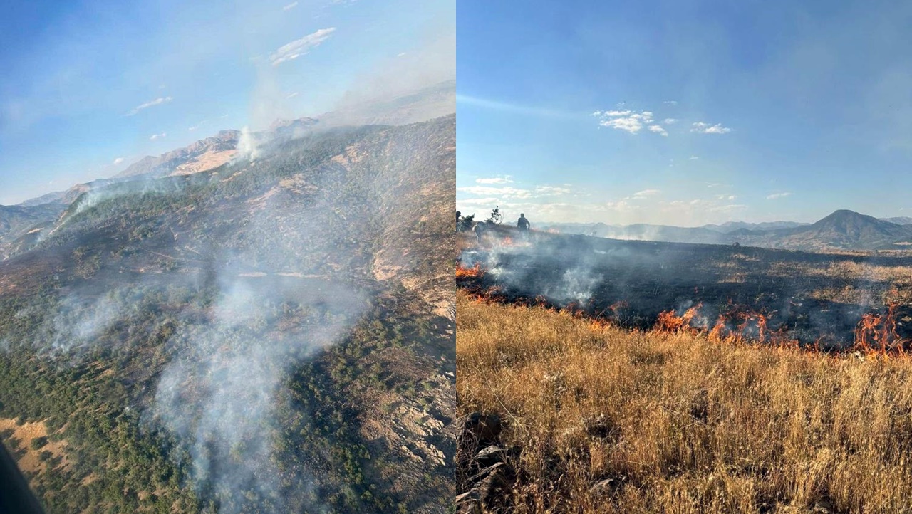 Dersim’de ormanlık alanda çıkan yangın devam ediyor